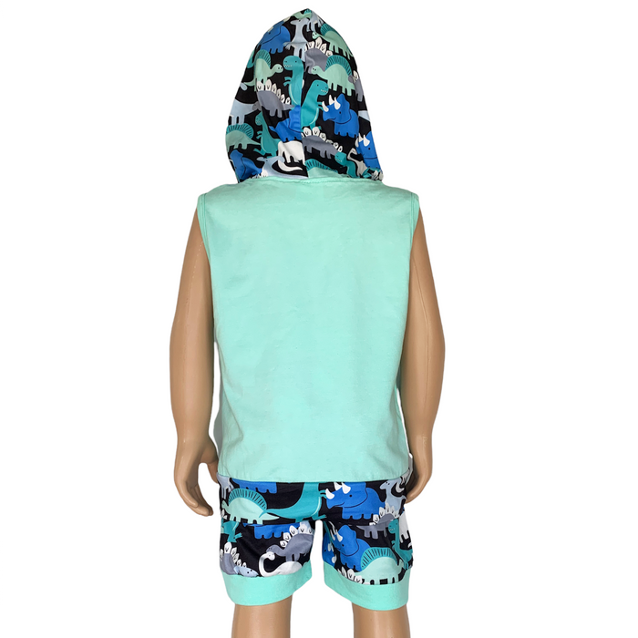 AL Limited Boys Dinosaur Hoodie Kangaroo Pocket Short Set Outfit